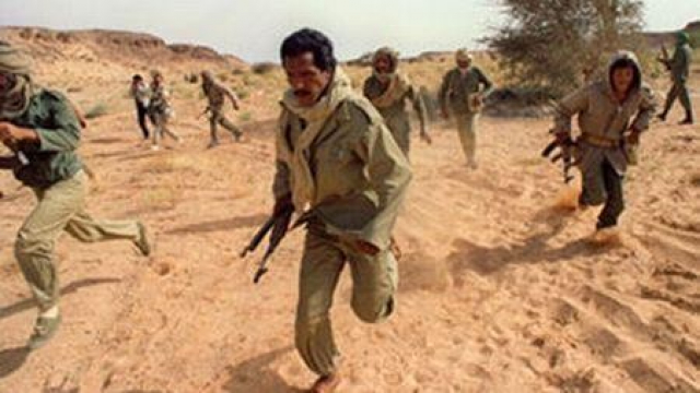 Polisario fuite