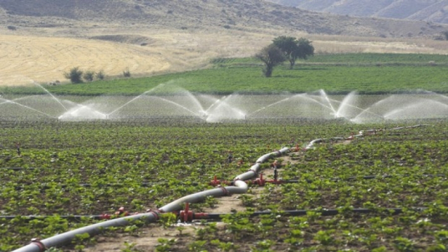 Projets agricoles dans la région de Laayoune-Sakiat al Hamra Projets agricoles dans la région de Laayoune-Sakiat al Hamra