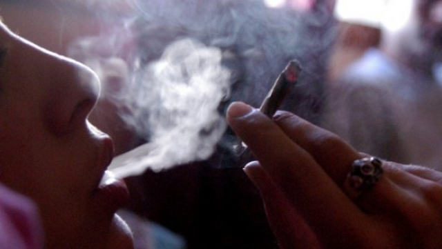 Fumeur cannabis Fumeur cannabis