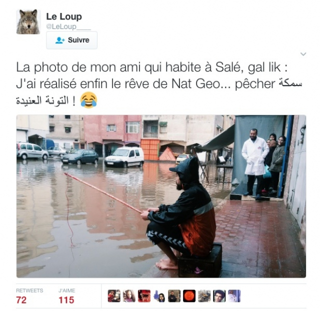 opluieo opluieo