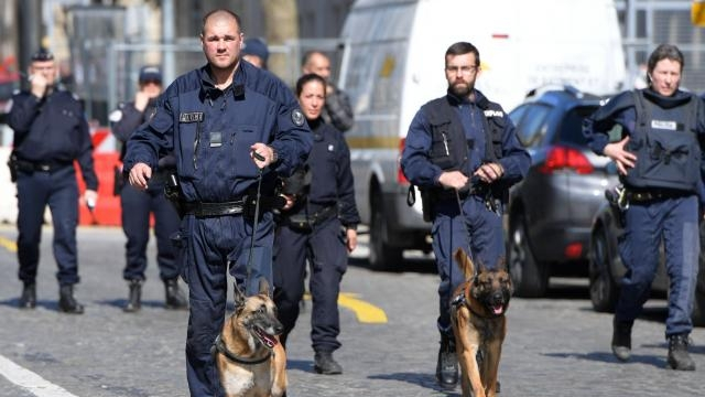 Police avec chiens France Police avec chiens France
