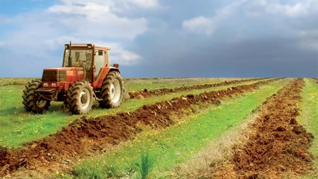 agriculture agriculture