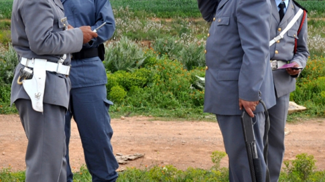 Gendarmes Gendarmes