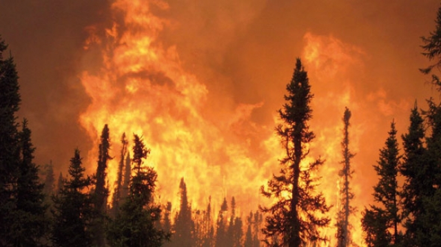 incendie de foret incendie de foret