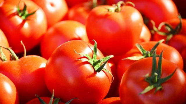 Tomate Tomate