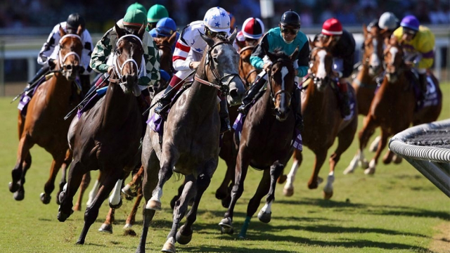 Course hippique Course hippique