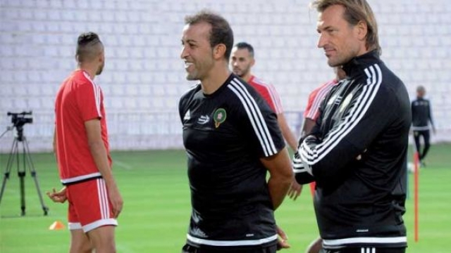 renard hadji renard hadji