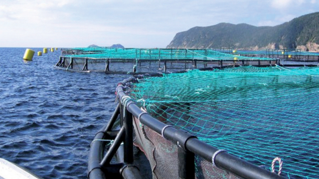 Aquaculture Souss-Massa Aquaculture Souss-Massa