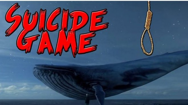 baleine bleue-suicide