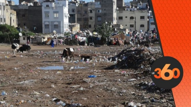 déchets déchets