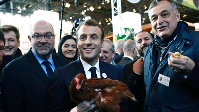 Macron adopte une poule Macron adopte une poule