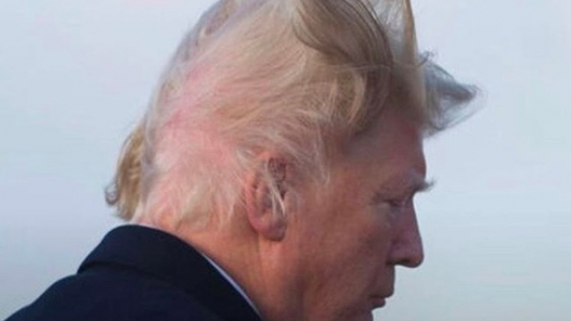 trump cover trump cover