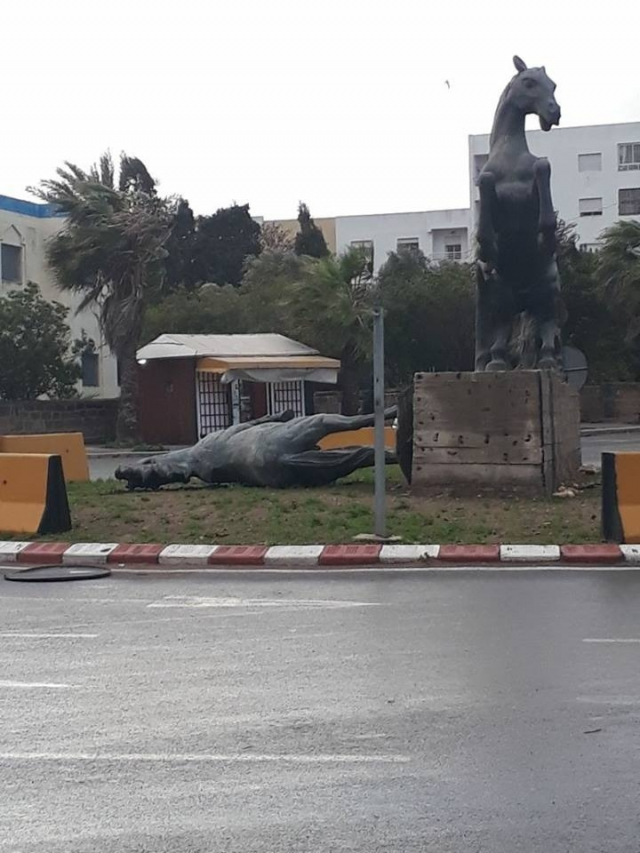 El Jadida: cheval de Chtioui Sahbi-2 El Jadida: cheval de Chtioui Sahbi-2