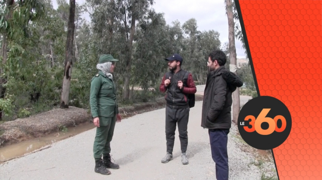cover Video - Le360.ma • .فاطمة برا.. مهندسة عشقت الطبيعة وتكرس حياتها لحماية الغابة cover Video - Le360.ma • .فاطمة برا.. مهندسة عشقت الطبيعة وتكرس حياتها لحماية الغابة