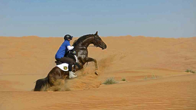 Gallops of Morocco Gallops of Morocco