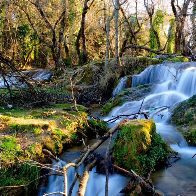 par national de Ifrane par national de Ifrane