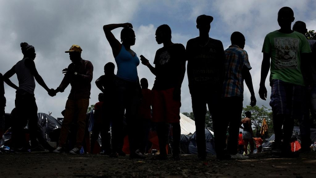 Migrants Migrants