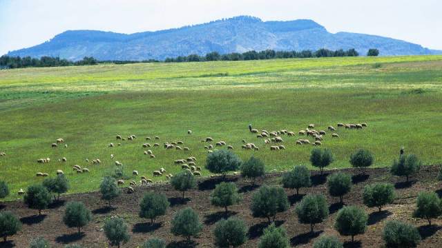 terrain non bâti terrain non bâti