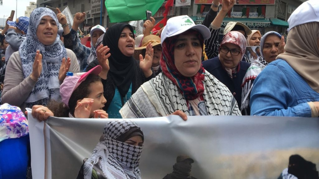 Marche en faveur de la Palestine-9 Marche en faveur de la Palestine-9