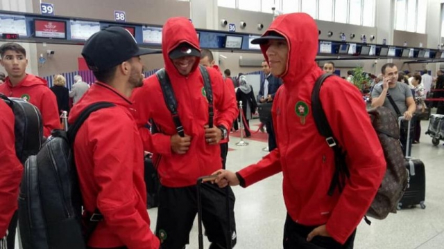 Lions à l'aéroport Lions à l'aéroport