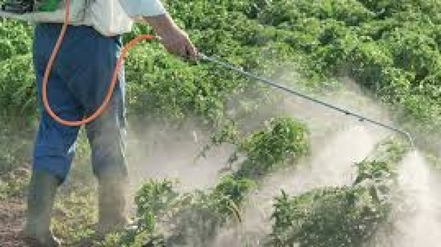 Pesticides Pesticides