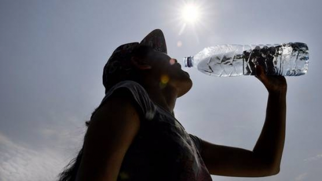 Canicule Canicule