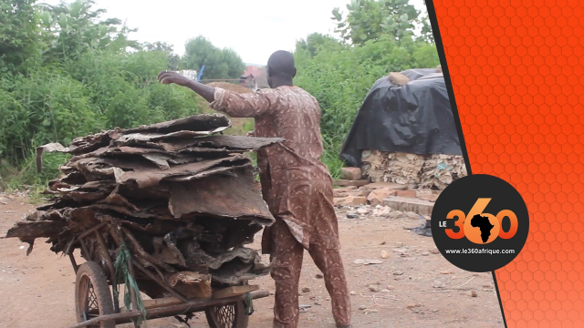 Mali: le business de l'exportation de peaux de mouton et vachette Mali: le business de l'exportation de peaux de mouton et vachette