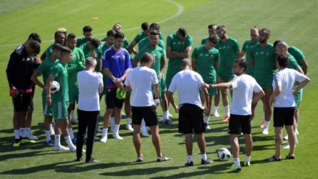 Entrainement lions Entrainement lions