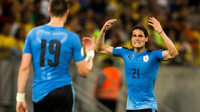 Cavani Cavani
