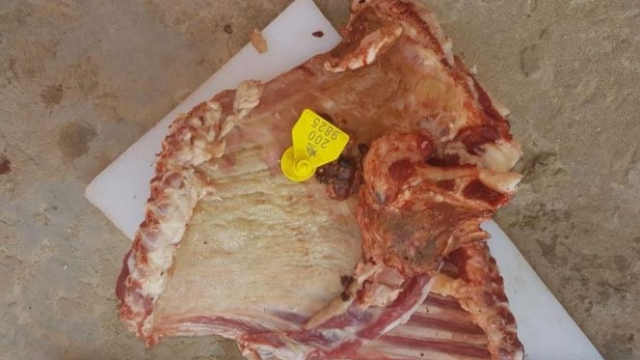 VIANDE VIANDE