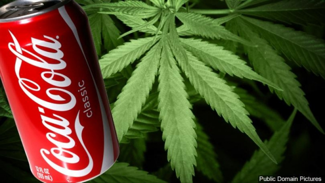 Coca Cannabis Coca Cannabis
