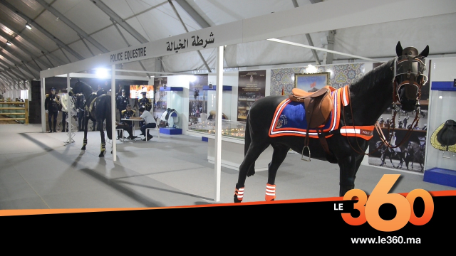 cover vidéo: Le360.ma •شرطة الخيالة حاضرة بقوة في الأيام المفتوحة للشرطة بمراكش cover vidéo: Le360.ma •شرطة الخيالة حاضرة بقوة في الأيام المفتوحة للشرطة بمراكش