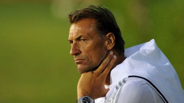 renard renard