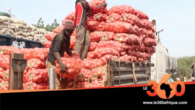 Vidéo. Mali: les légumes du Maroc de retour dans l'assiette des Bamakois Vidéo. Mali: les légumes du Maroc de retour dans l'assiette des Bamakois