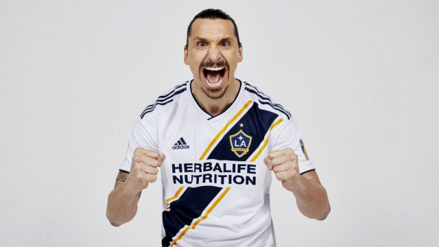 Zlatan Ibrahimovitch Zlatan Ibrahimovitch