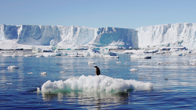 Antarctique Antarctique