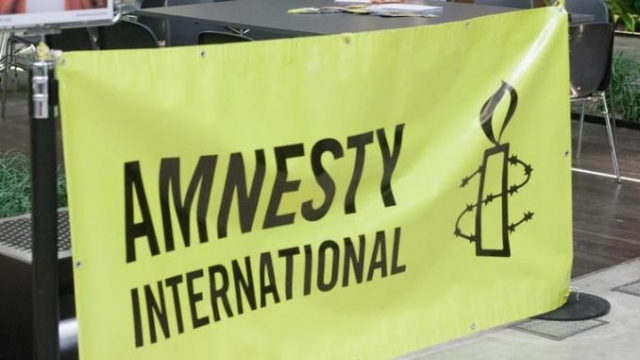 Amnesty Amnesty