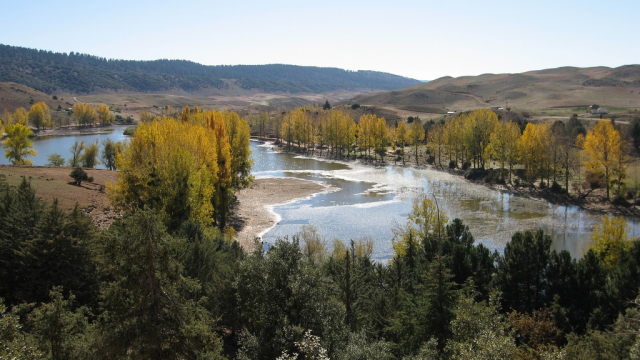 Le Parc National de Ifrane Le Parc National de Ifrane