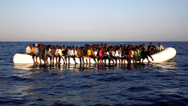 Migrants Migrants