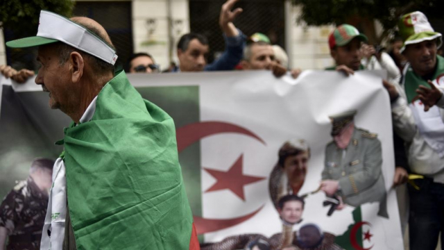 PhotoAlger PhotoAlger