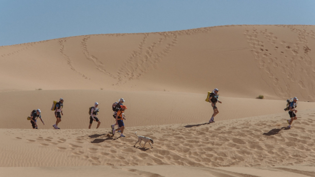 Cactus pendant le Marathon des Sables Cactus pendant le Marathon des Sables