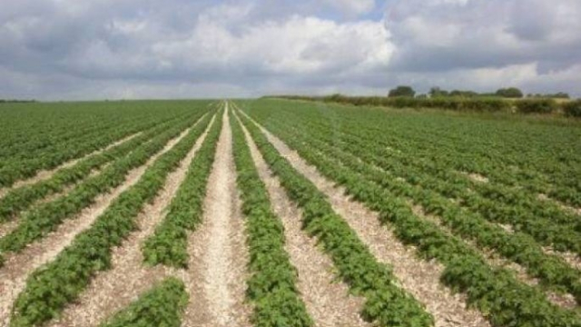 Terres agricoles Terres agricoles