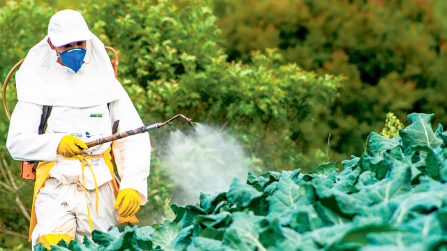 pesticides pesticides