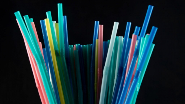 Pailles en plastique Pailles en plastique