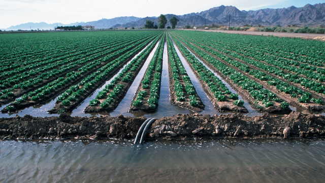 Terres agricoles collectives irrigation Terres agricoles collectives irrigation