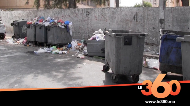 Cover Vidéo - Casablanca: collecte des déchets ce qui attends les nouvelles sociétés Cover Vidéo - Casablanca: collecte des déchets ce qui attends les nouvelles sociétés