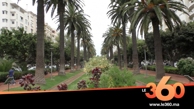 Cover Vidéo - Casablanca: des parkings en lieux et places d’espaces verts Cover Vidéo - Casablanca: des parkings en lieux et places d’espaces verts