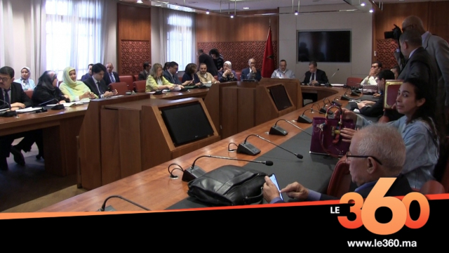 Cover Vidéo - النواب يصادقون بالاجماع على إعتماد حرف تيفيناغ Cover Vidéo - النواب يصادقون بالاجماع على إعتماد حرف تيفيناغ
