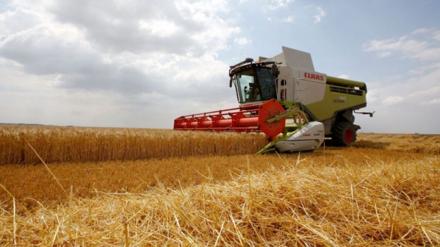 agriculture agriculture