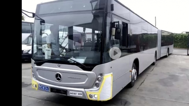 bus bus